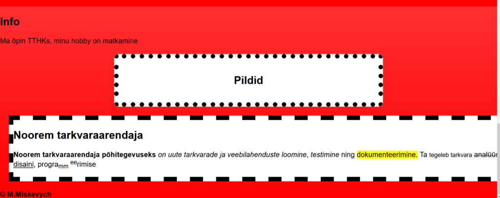 Noorem Tarkvaraarendaja rwd näite f